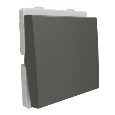 Livia 16A 1 way switch (2MD) P1121/P1121_PG