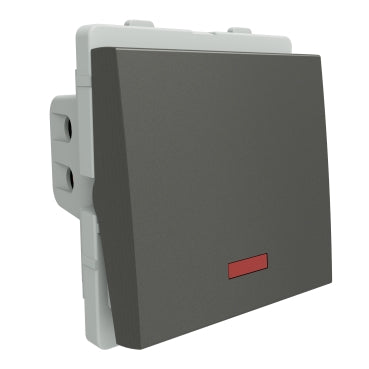 Livia 32A DP Switch (2M) P1132
